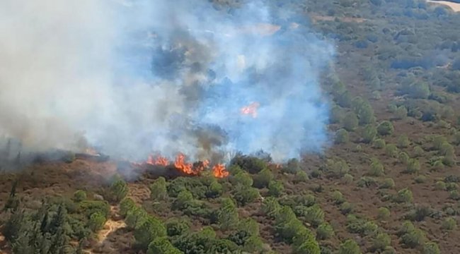 İzmir'de makilik alanda yangın! Havadan ve karadan müdahale ediliyor