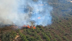 İzmir'de makilik alanda yangın! Havadan ve karadan müdahale ediliyor