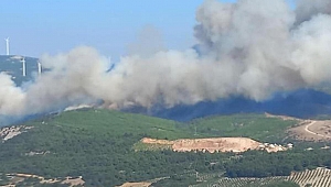 Soma'daki 16 saatlik orman yangınında 60 hektar alan zarar gördü