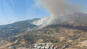 Aydın’da makilik ve zirai alanda yangın