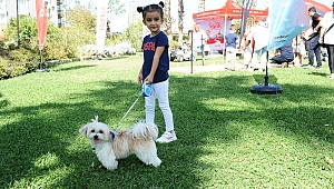 Karşıyaka’da can dostlara sıcak yuva aranıyor