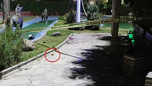 Köpeğe kötü davrandığı için kendisini uyaran adamı, cam şişe ile ağır yaraladı