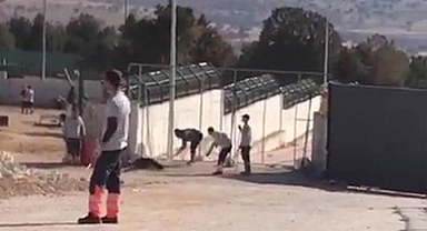 Hayvan bakımevindeki infial yaratan görüntülerle ilgili 2 gözaltı