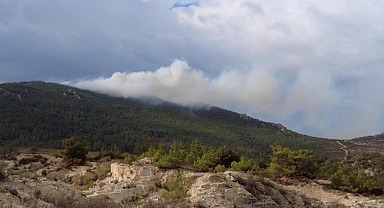 İzmir'de iki ilçede orman yangını