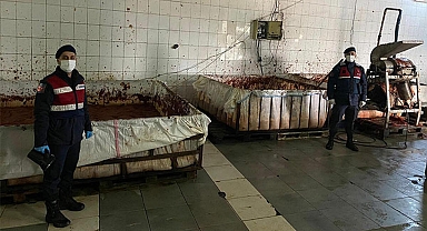 İzmir'de merdiven altı üretilen 25 ton salça ele geçirildi