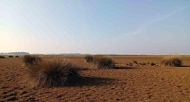 Dikkat çeken 'kuraklık' uyarısı! 'Türkiye riski atlattı diyemeyiz'