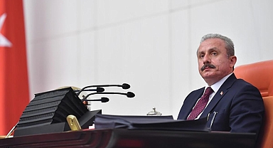 TBMM Başkanı Şentop: 'Bilinmeyen dil' değil, 'Türkçe olmayan kelime' yazılıyor