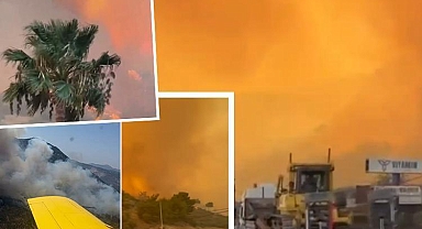 Aydın ve Milas'ta orman yangını! Germencik Belediye Başkanı'ndan vatandaşlara çağrı