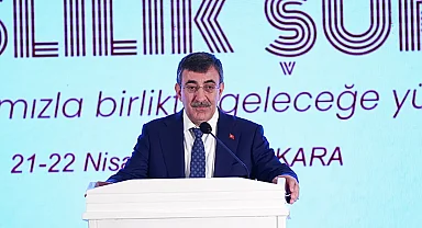 Cumhurbaşkanı Yardımcısı Cevdet Yılmaz: Uzun Süreli Bakım Sigortası Sistemi çalışmaları sürüyor